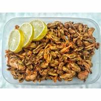Gambar KERANG HIJAU KUPAS 1 Kg JAKARTA dari IKAN MAKMUR undefined 2 Tokopedia
