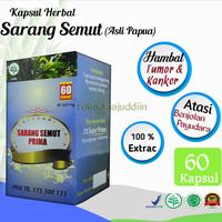 Gambar Kapsul Herbal Extrak Sarang Semut papua Asli 60kaps Obati Kanker dari Griyabusanamuslim undefined 1 Tokopedia