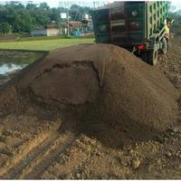 Gambar Pasir Cimalaka, Pasir Garut, Pasir pasang + Cor dari Supplier Material Alam_NEW undefined 2 Tokopedia