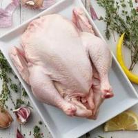 Gambar Daging Ayam UTUH PER EKOR Ukuran Standar 0,8 - 0,9 KG dari fruitsBOX Buah & Sayur Segar undefined 2 Tokopedia