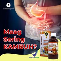 Gambar Zestmag madu maag gerd pencernaan zetsmag obat sakit perut mual dari TOKO BIN SYAHAB undefined 3 Tokopedia