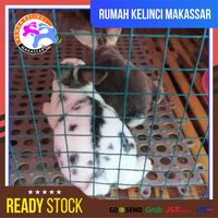 Gambar Alas Kandang Kucing Kelinci Footrest Kelinci Fotres Ukuran 30x30 Cm - Biru Muda dari Rumah Kelinci Makassar undefined 2 Tokopedia