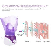Gambar Setrika Uap Handheld Garment Facial Steamer - Red 2in1 Funct dari Yuvie1shopp undefined 5 Tokopedia