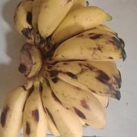 Gambar buah pisang muli perkilo dari jelita sayur undefined 1 Tokopedia