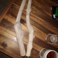 Gambar tangkringan burung elang/Kakatua/burung hantu/ reptil kayu kopi asli dari lagoona fresh undefined 1 Tokopedia