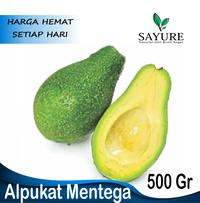 Gambar ALPUKAT MENTEGA SUPER 1 KG dari Sayure01 undefined 2 Tokopedia