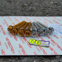 Gambar Baut probolt stainless visor/windshield nmax new 2020 heng thailand - silver dari RG shop part undefined 1 Tokopedia