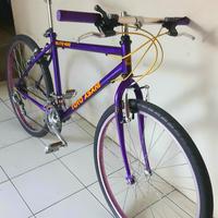 Gambar Sepeda MTB Toyo Asahi TAB3030 size 17 dari RD-Project's undefined 1 Tokopedia