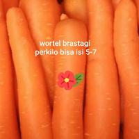 Gambar wortel brastagi 1kg fresh dari warung-aeko undefined 1 Tokopedia