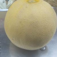 Gambar Melon madu untuk 1 buah melon berat 2kg dari Shopiee fresh market undefined 3 Tokopedia