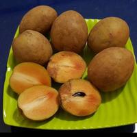 Gambar buah sawo madu 1kg dari hanania toserba undefined 1 Tokopedia