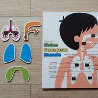 Gambar mainan edukasi sistem pernapasan respirasi manusia abwakids dari Abwakids undefined 5 Tokopedia