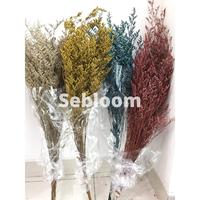 Gambar [100gr] Preserved Caspea / lovergrass - White dari Se Bloom undefined 1 Tokopedia