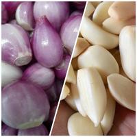 Gambar Bawang Merah/Bawang Putih Kupas - Bawang Merah, 500 Gram dari Jossegar1 undefined 1 Tokopedia
