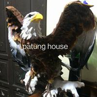 Gambar Patung Burung Elang Kepak Sayap dari Patung House undefined 1 Tokopedia