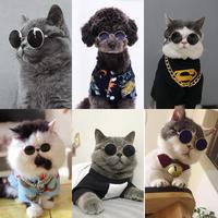 Gambar Kacamata Kucing dan Anjing Keren Untuk Aksesoris Properti Foto - Kotak Kacamata dari Pawsitive Official undefined 4 Tokopedia