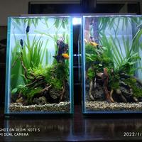 Gambar aquascape mini dari pickup undefined 3 Tokopedia