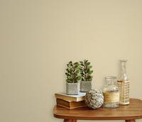 Gambar Wallpaper Dinding Polos Pro High Quality Wallpaper Polos 53cm x 10m - 82 dari Mee Homedecor undefined 1 Tokopedia