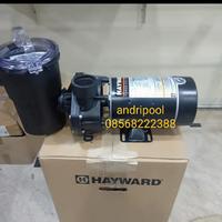 Gambar pompa kolam renang 3/4hp hayward asli 100%original made in usa dari Andripool hayward undefined 1 Tokopedia