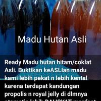Gambar Madu Hutan Asli dari Susilo ME undefined 1 Tokopedia