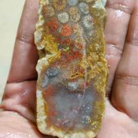 Gambar BAHAN CINCIN BATU AKIK TERATAI dari DA AL FROM WEST SUMATERA undefined 3 Tokopedia