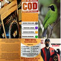 Gambar pur pakan voer burung cucak ijo 300 gr royal dari Voer Royal Indonesia. undefined 1 Tokopedia