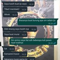 Gambar pur pakan voer burung cucak ijo 300 gr royal dari Voer Royal Indonesia. undefined 3 Tokopedia