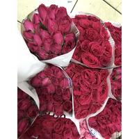 Gambar Bunga Mawar Fresh 20 Tangkai 1ikat - Merah dari Ciggy Store undefined 2 Tokopedia