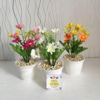 Gambar Krisan - Tanaman Hias Plastik Bunga Artificial Murah Bunga Palsu COD - kuning-oren, pot kecil dari Florist Hantaran undefined 1 Tokopedia