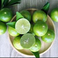 Gambar Jeruk Lemon Lokal Besar L / Jeruk Nipis / Jeruk Peras Fresh 250 gram dari 95 onlineshop undefined 3 Tokopedia