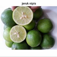 Gambar Jeruk Lemon Lokal Besar L / Jeruk Nipis / Jeruk Peras Fresh 250 gram dari 95 onlineshop undefined 1 Tokopedia