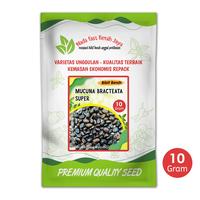 Gambar 10 gram Bibit benih mucuna bracteata super / bibit benih tanaman dari Benih karya banyumas undefined 2 Tokopedia