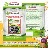 Gambar 10 gram Bibit benih mucuna bracteata super / bibit benih tanaman dari Benih karya banyumas undefined 1 Tokopedia