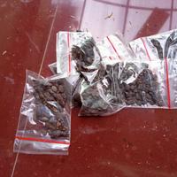 Gambar biji kaliandra merah ,isi 150 fegetasi lebah madu dari BUNGA LEBAH KEDIRI undefined 2 Tokopedia