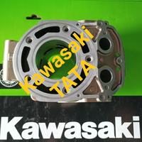 Gambar Blok PDK ninja R, RR, KR, SS, KRR. Original Kawasaki dari KawasakiTATA undefined 3 Tokopedia