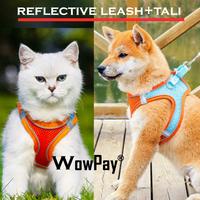 Gambar Reflective Chest Strap Tali Tuntun Anjing Kucing Cat Dog Leash Harness dari WowPay undefined 3 Tokopedia