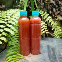 Gambar Bakteri Fotosintesis (PSB) Pupuk Organik untuk daun - 500ml dari Kebun Epen undefined 2 Tokopedia