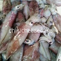 Gambar CUMI SEGAR 500 GRAM / FRESH SEAFOOD SQUID 500GR HASIL LAUT dari chikicheesecake2 undefined 2 Tokopedia