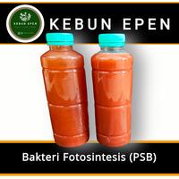 Gambar Bakteri Fotosintesis (PSB) Pupuk Organik untuk daun - 500ml dari Kebun Epen undefined 1 Tokopedia