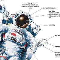 Gambar Astronaut Nasa Space Poster Sains Edukasi Ensiklopedia Sekolah Ilmuwan - A0 dari Hobiton undefined 2 Tokopedia