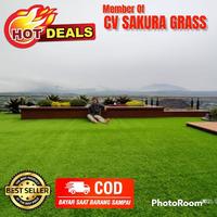 Gambar PAKET RUMPUT SINTETIS 3 CM + DRAINASE TIPE SWISS / JEPANG BISA REQEST dari RUMPUT SINTETIS SUKSES MANDIRI undefined 2 Tokopedia
