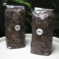 Gambar Media Tanam Aglonema Premium dari Planteria Affiliate undefined 3 Tokopedia