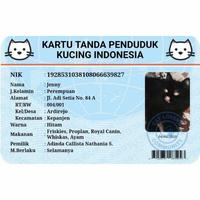 Gambar KTP kucing/identitas kucing /kartu nama hewan dari Medi Petshop undefined 2 Tokopedia