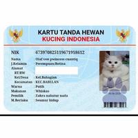 Gambar KTP kucing/identitas kucing /kartu nama hewan dari Medi Petshop undefined 1 Tokopedia