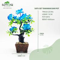 Gambar Bunga Artificial / Bunga Sintetis Semanggi Kecil dari Toko Rumput Sumara undefined 3 Tokopedia