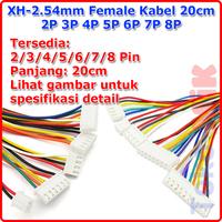 Gambar JST XH2.54 XH 2.54 mm 2.54mm Female 2P 3P 4P 5P 6P 7P 8P Kabel 20cm - F-XH2.54-20-6P dari Toko-MIK undefined 1 Tokopedia