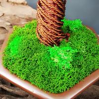 Gambar BONSAI BERINGIN ARTIFICIAL BAHAN KAWAT TEMBAGA UNTUK DEKORASI RUNGAN dari Dikotil Wire Tree Indonesia undefined 4 Tokopedia