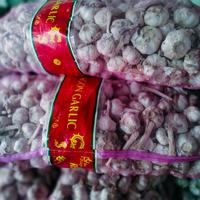 Gambar jual bawang putih honan kotor karungan (+-20 kg) dari crshop2 undefined 3 Tokopedia