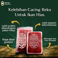 Gambar Cacing Darah Beku / Frozen Bloodworm Kemasan Kapsul - Pakan Ikan Hias dari Premium Insect undefined 1 Tokopedia