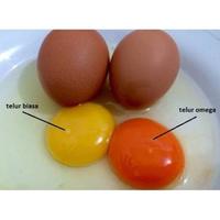 Gambar TELUR OMEGA 3 dari deposusu undefined 3 Tokopedia